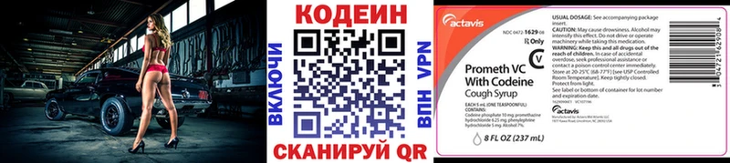 Купить закладки  Вилючинск  Кодеиновый сироп Lean Purple Drank 