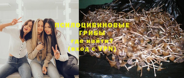 гидропоника Богданович