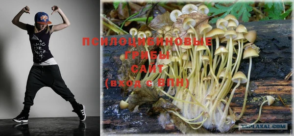 марки nbome Богородицк