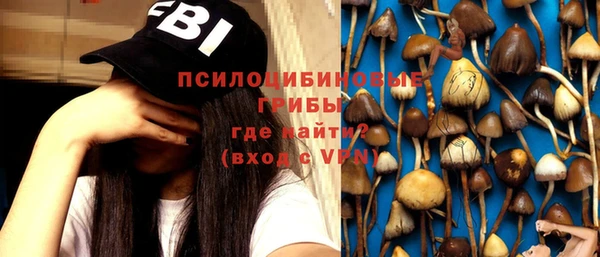 марки nbome Богородицк