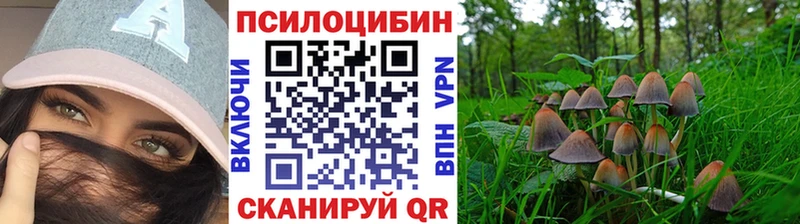 Псилоцибиновые грибы MAGIC MUSHROOMS  Купить закладки  Вилючинск 