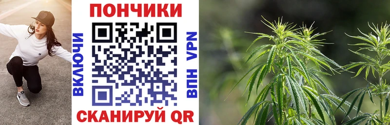 Купить где  Вилючинск  Конопля гибрид 